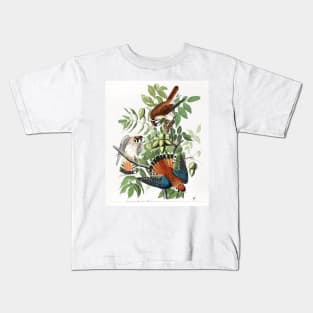 American Sparrow Hawk from Birds of America (1827) Kids T-Shirt